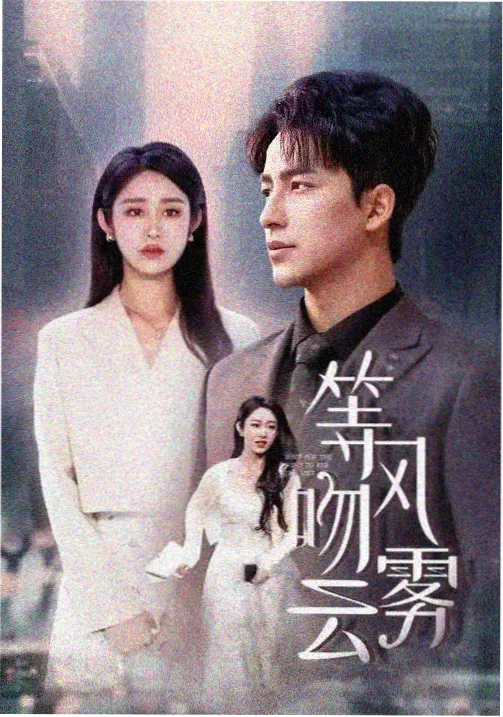 梧桐巷七号封面